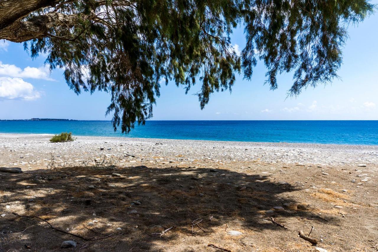 Akra Grammeno Beachfront Appartamento Palaiochora