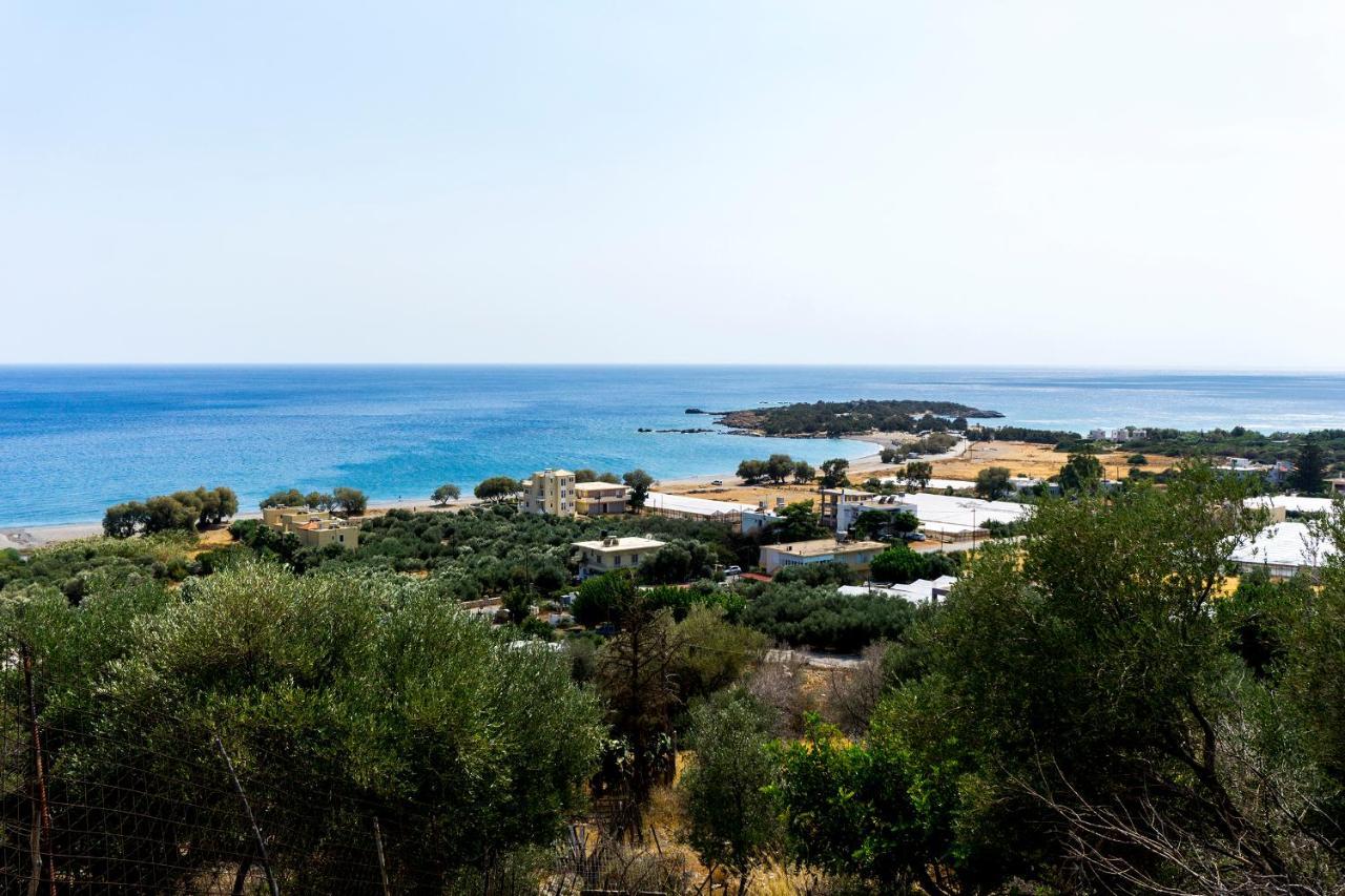 Akra Grammeno Beachfront Appartamento Palaiochora